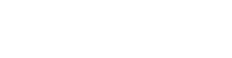 LOGIKA300